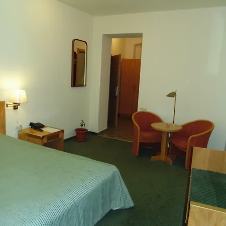 Curtea Brasoveana Отель типа 