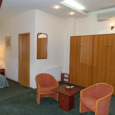 Curtea Brasoveana Отель типа 