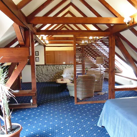 Curtea Brasoveana לינה וארוחת בוקר בראשוב