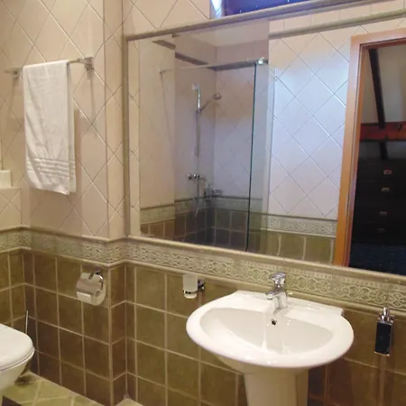 Curtea Brasoveana Отель типа 