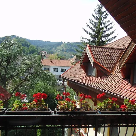 Bed & Breakfast Curtea Brasoveana