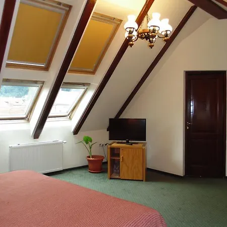 فندق مبيت وإفطار Curtea Brasoveana 4*