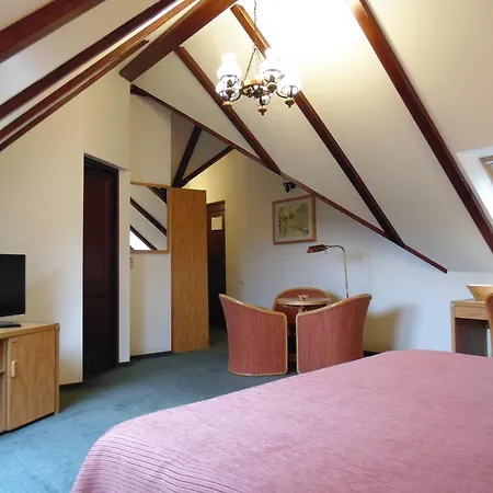 Curtea Brasoveana Отель типа 