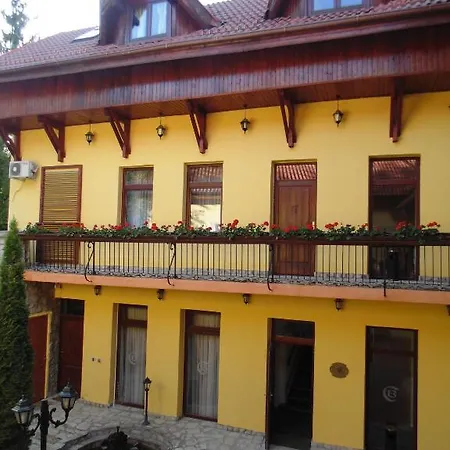 فندق مبيت وإفطار Curtea Brasoveana 4*