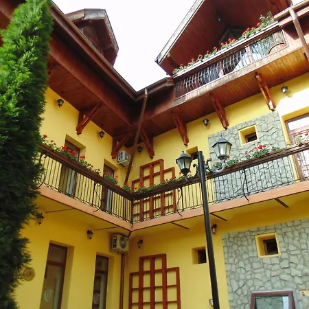 Curtea Brasoveana Отель типа 