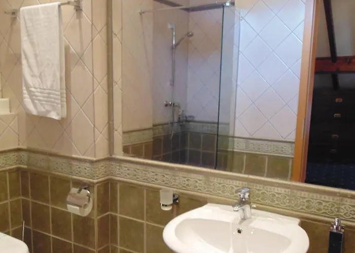 Curtea Brasoveana Panzió 4*