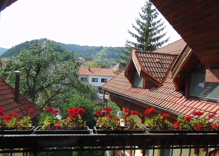 Curtea Brasoveana Brasov