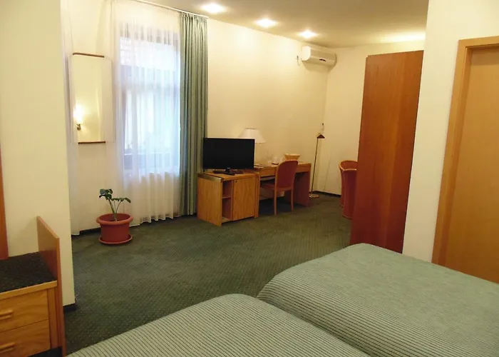 Panzió Curtea Brasoveana 4*